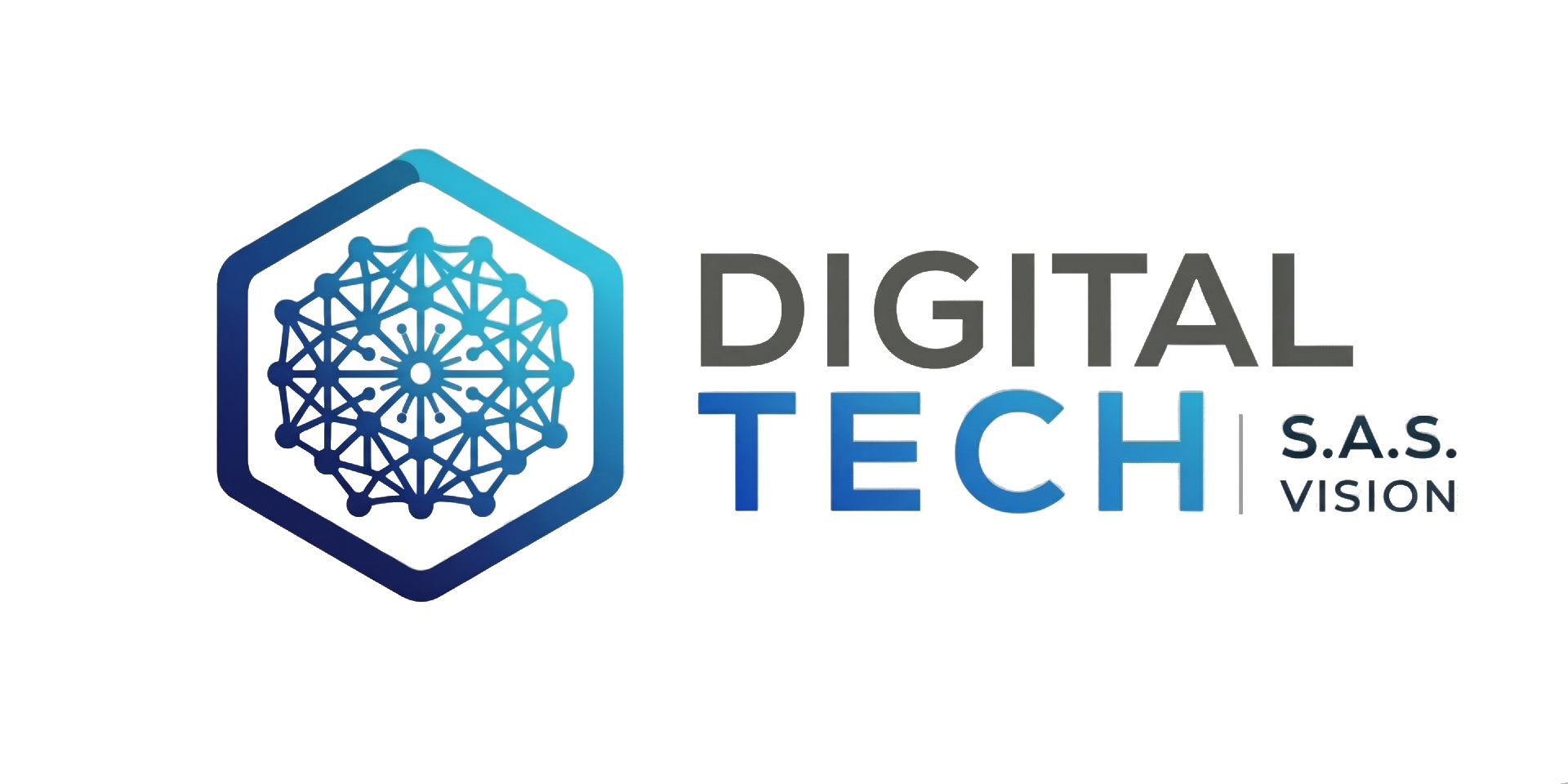 Digital Tech Vision S.A.S.